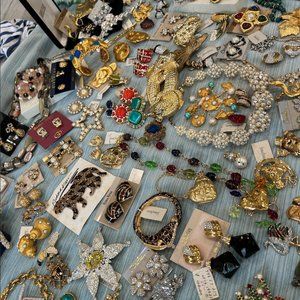 Meet your Posher, Bunny Collins